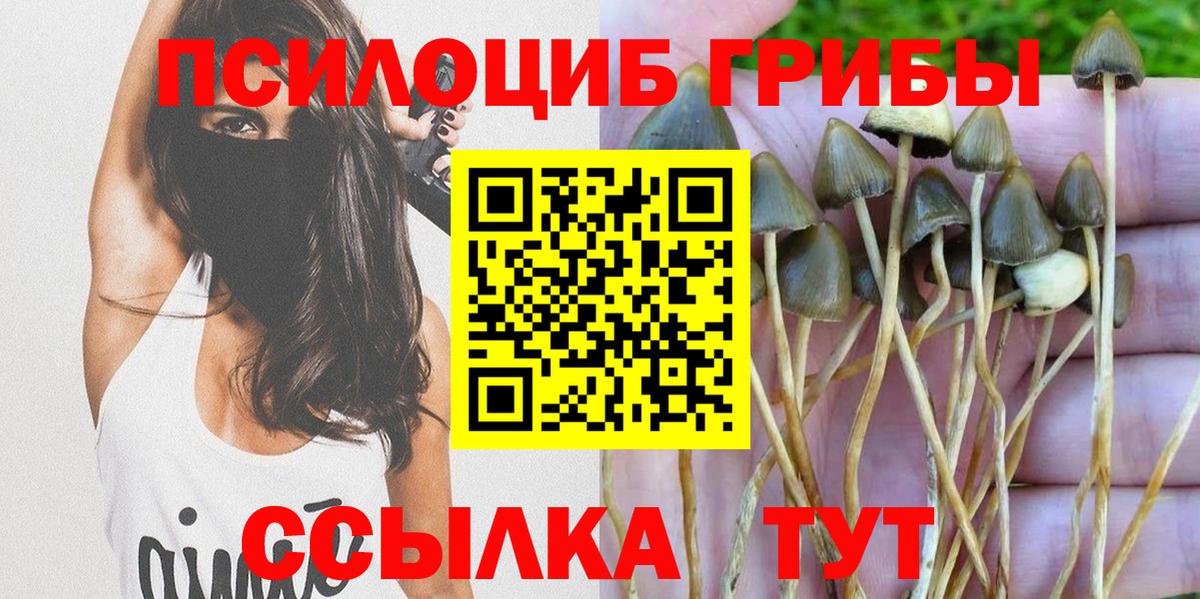 Галлюциногенные грибы мицелий Рыбинск