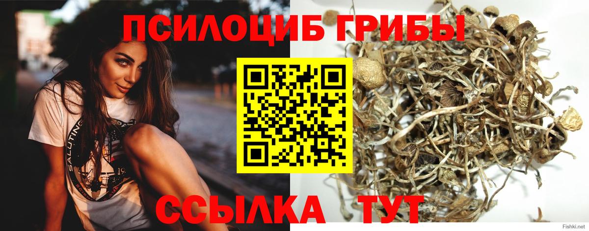 Галлюциногенные грибы прущие грибы  Галлюциногенные грибы мухоморы  Вход с VPN  Рыбинск 